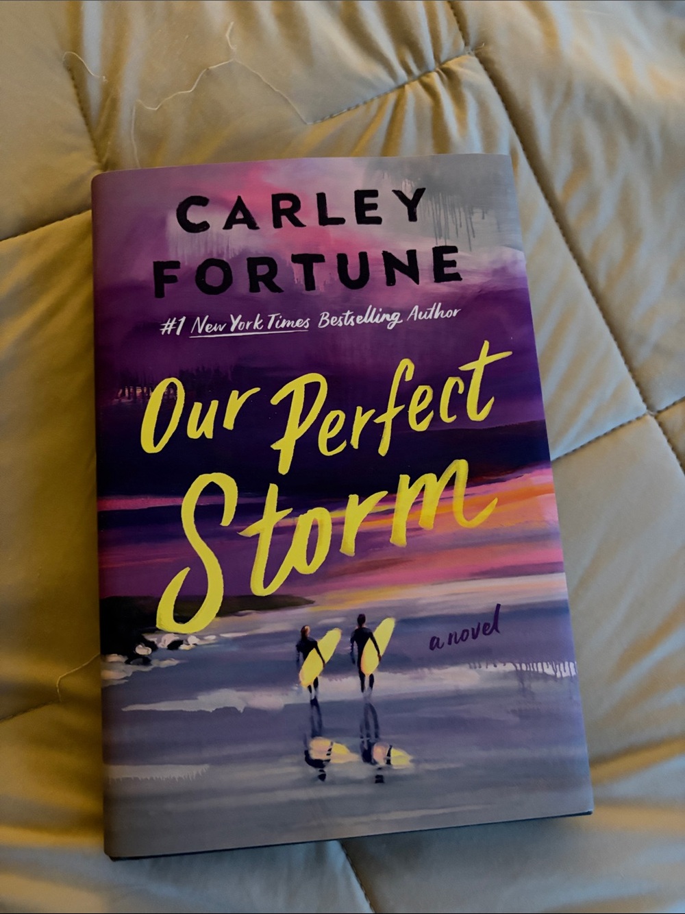 Our Perfect Storm by Carley Fortune (Hardcover, standard edition)